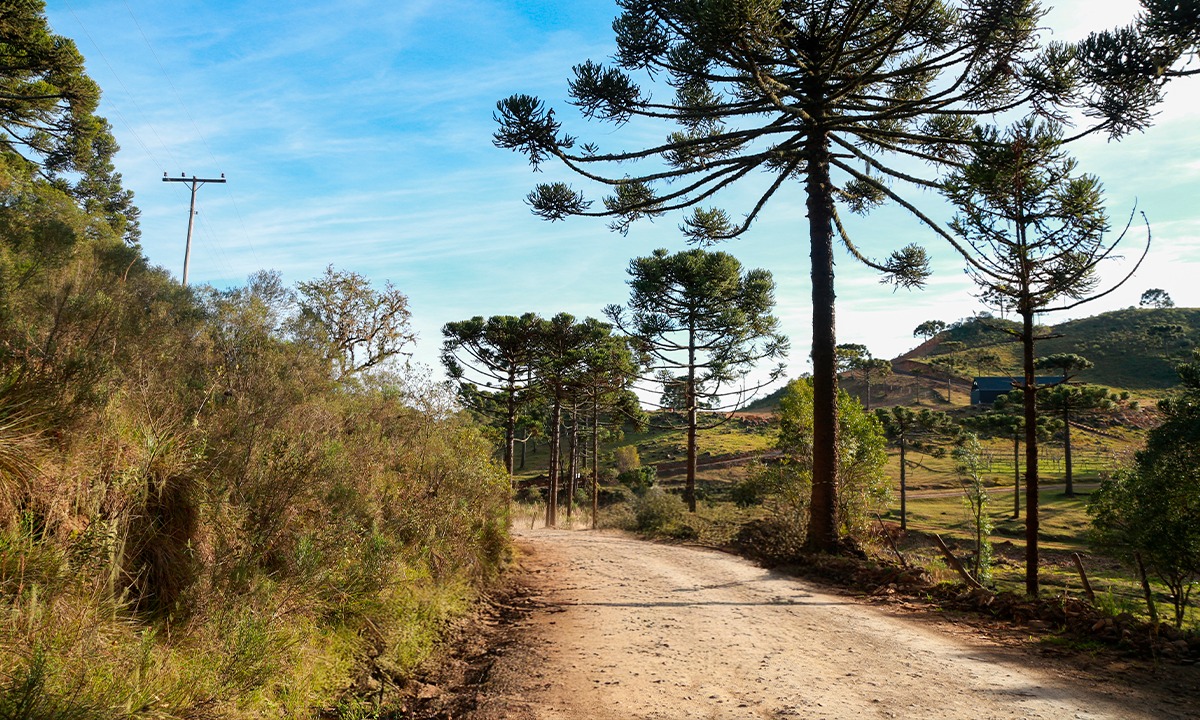 Santa Catarina registra grande amplitude térmica ao longo desta semana