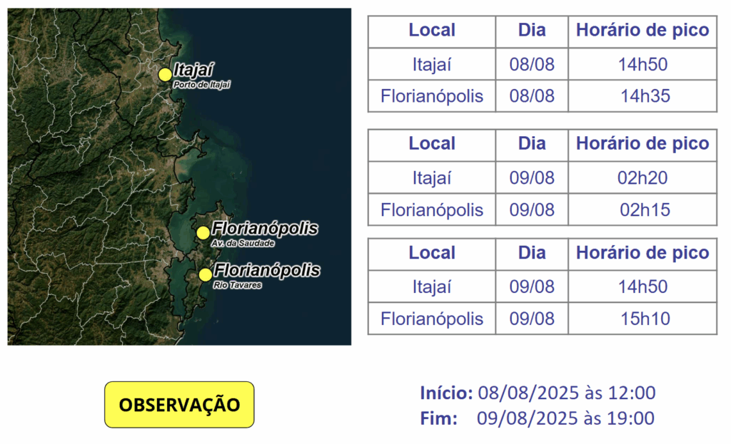 Imagem do Grid