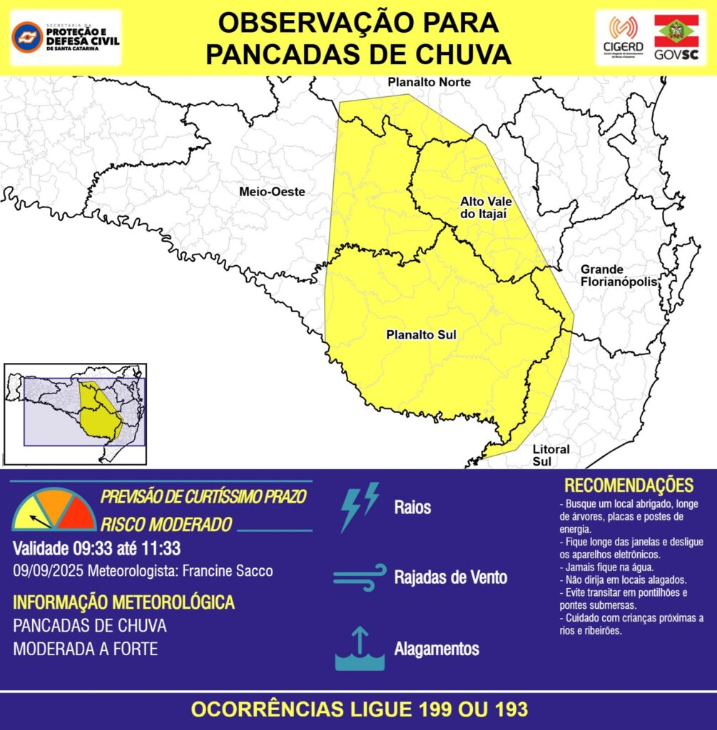 Imagem do Grid