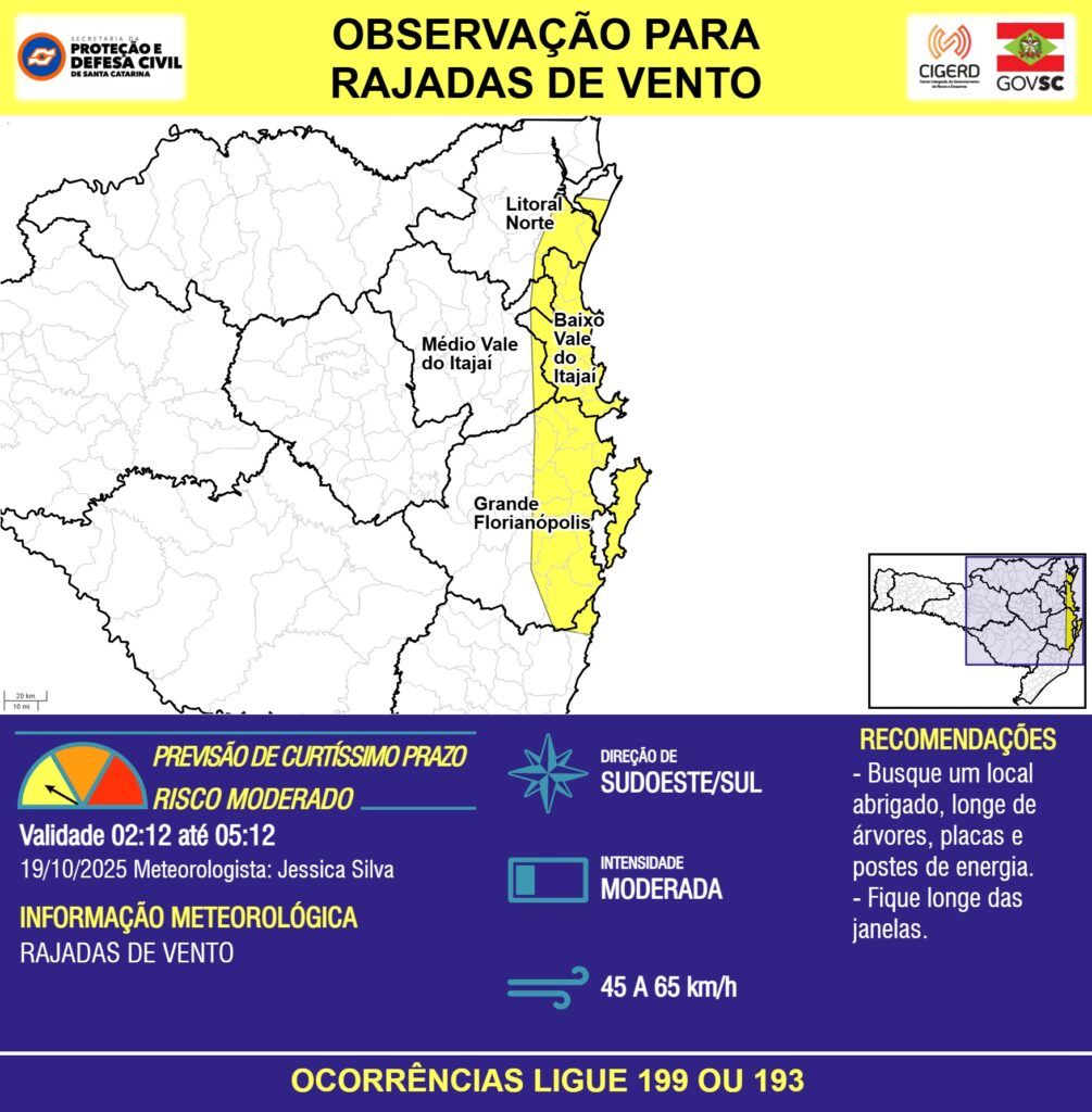 Imagem do Grid