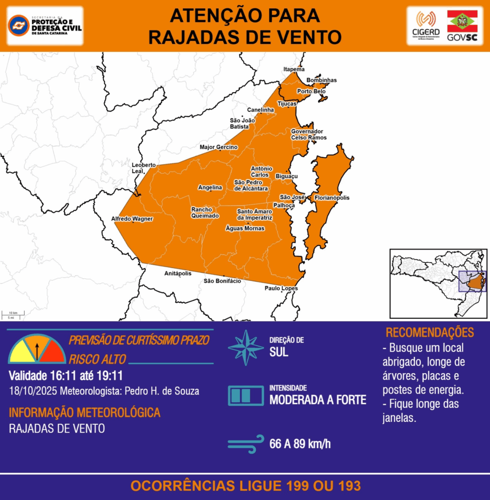 Imagem do Grid