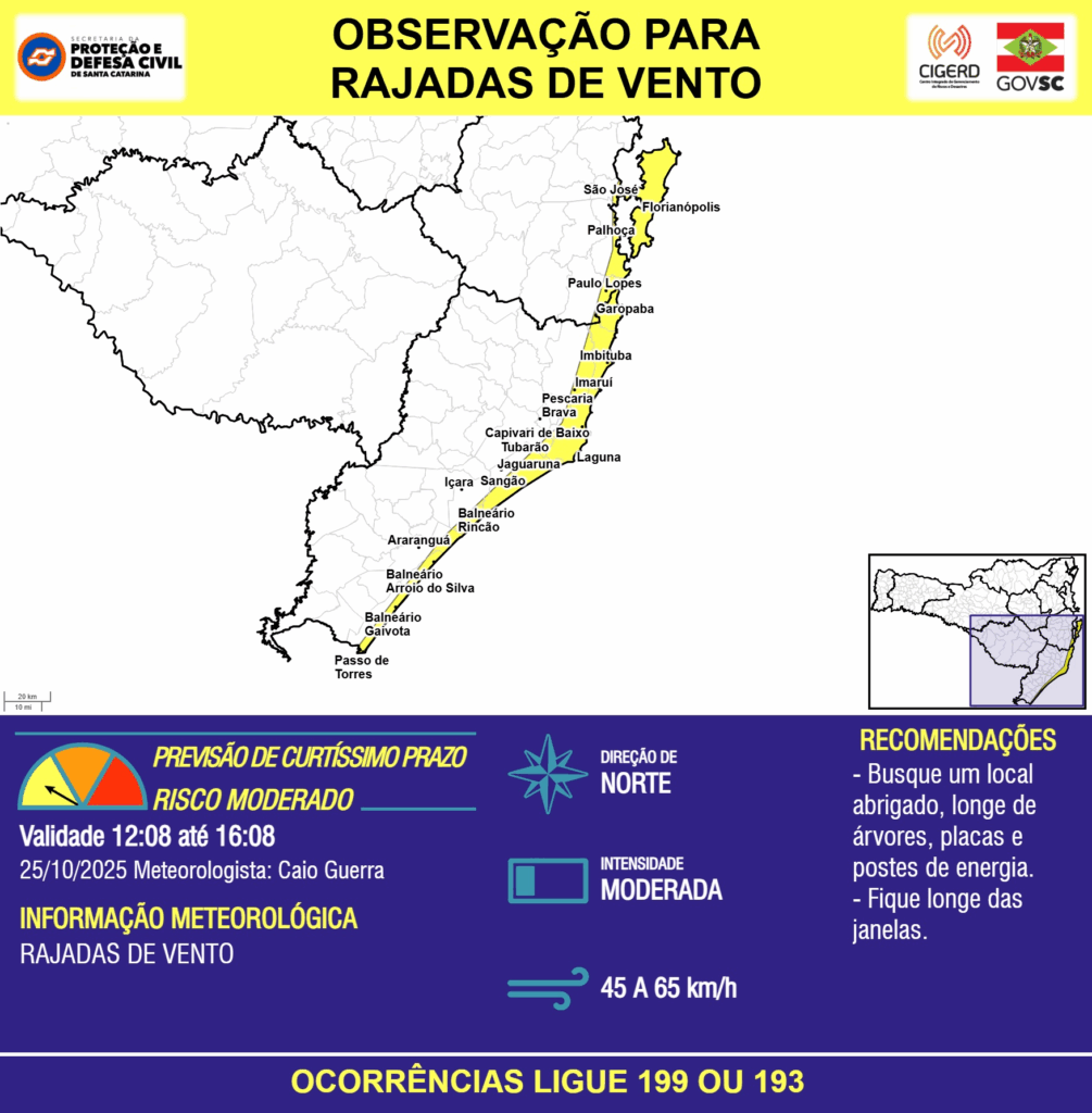 Imagem do Grid