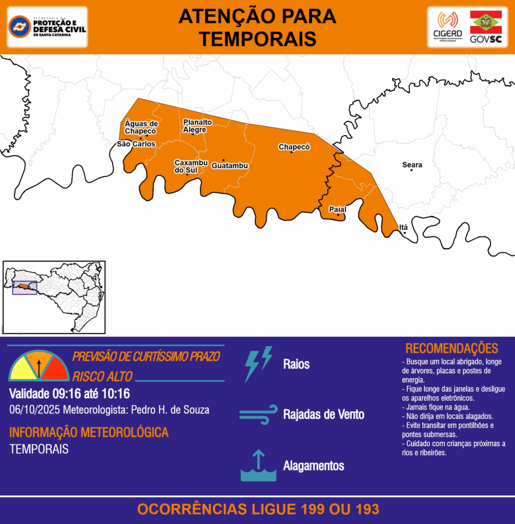 Imagem do Grid
